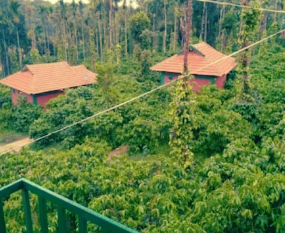 Agastya Lake View Coorg Madikeri Luaran gambar