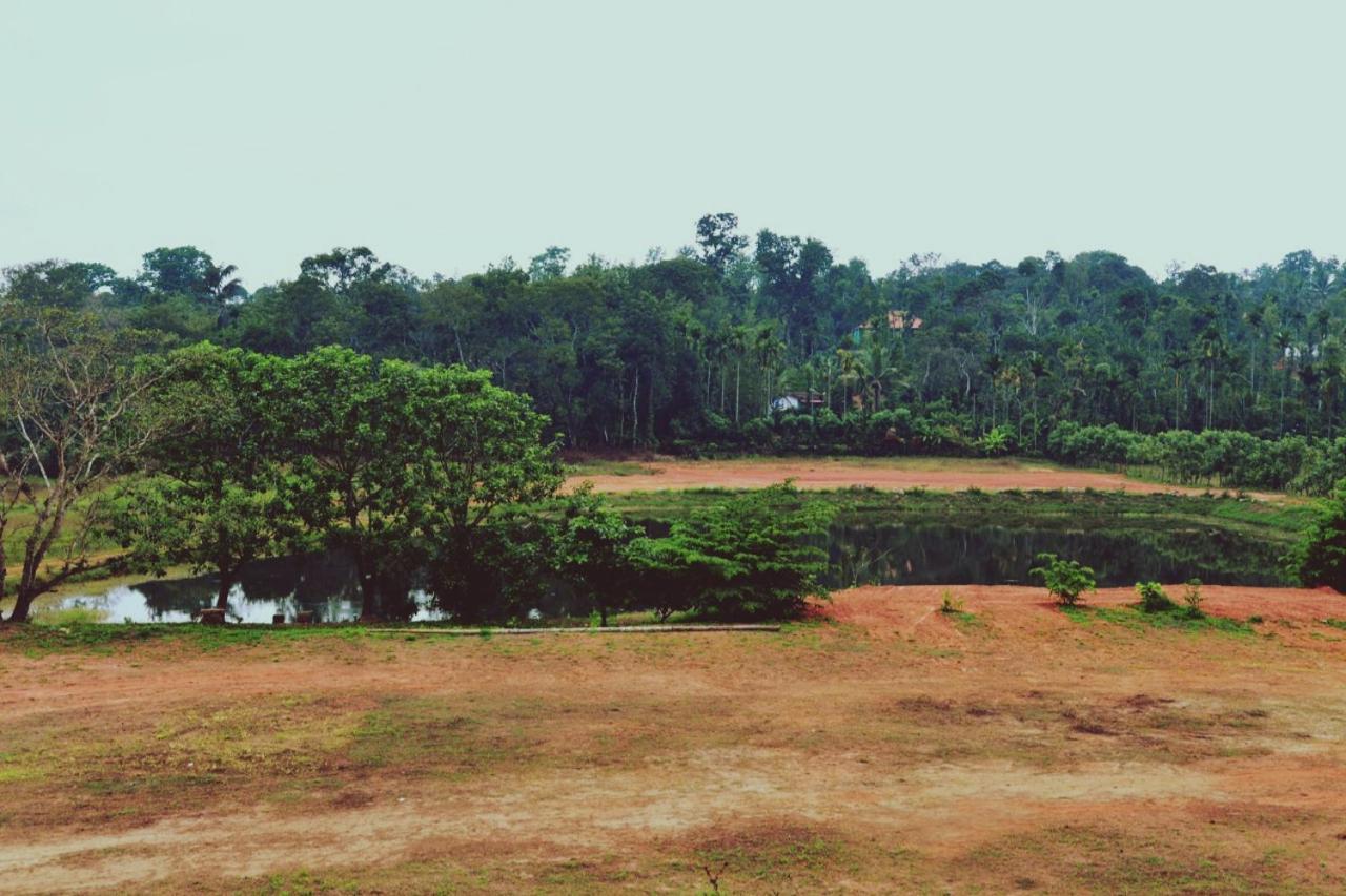 Agastya Lake View Coorg Madikeri Luaran gambar