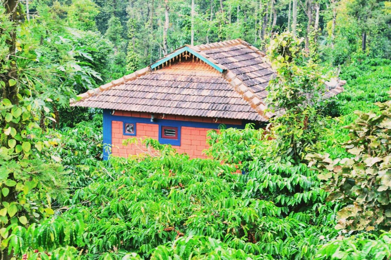 Agastya Lake View Coorg Madikeri Luaran gambar