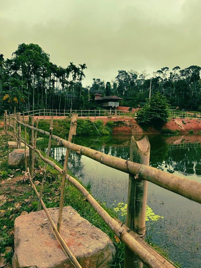 Agastya Lake View Coorg Madikeri Luaran gambar