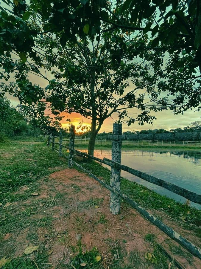 Agastya Lake View Coorg Madikeri Luaran gambar