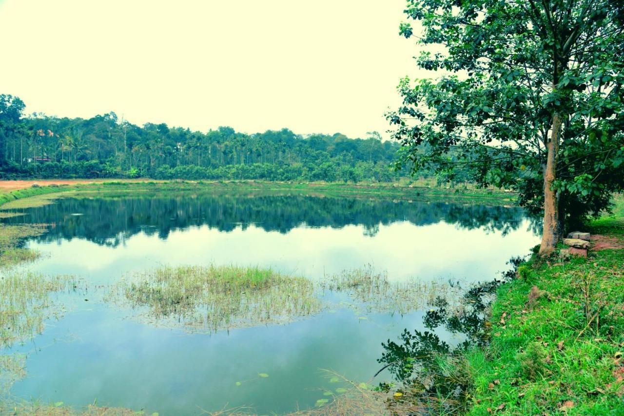 Agastya Lake View Coorg Madikeri Luaran gambar